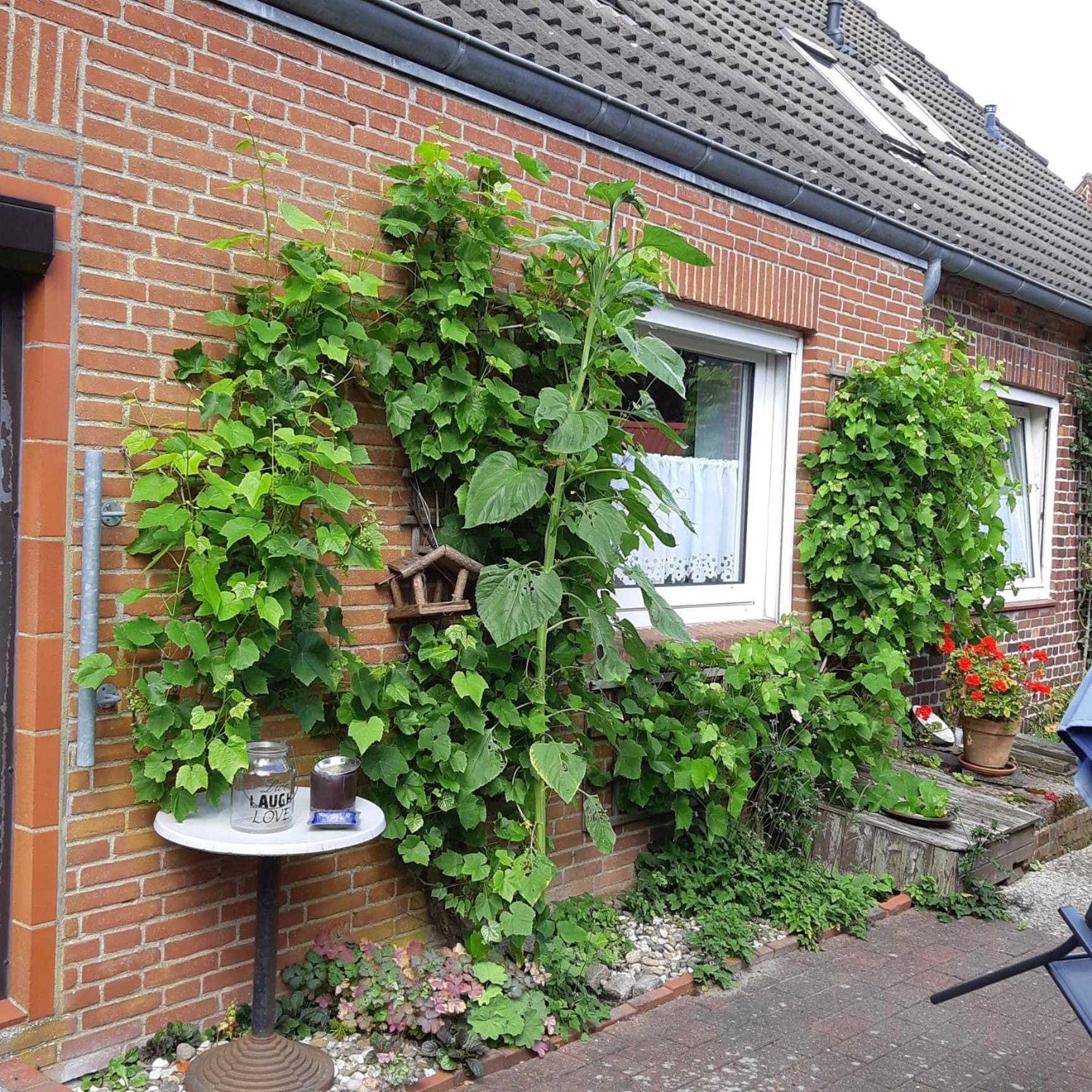Nordseeferienhaus-Alma Niebüll Exterior foto